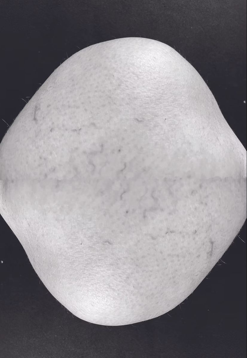 Lauren Blankstein, Asteroid, from Biomorphic series, Photograph, Dimensions variable, 2024